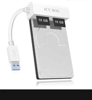 德國RaidSonic適配器