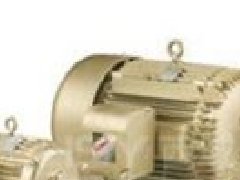 德國(guó)HALM電機(jī)