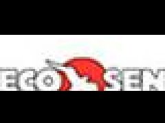 美國ECO Sensors臭氣監(jiān)測儀