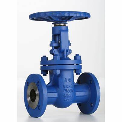 供應意大利Valvosider閥門、過濾器