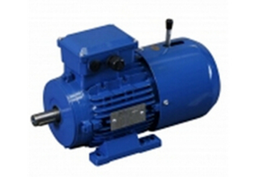 英國(guó)AMTECS電機(jī)